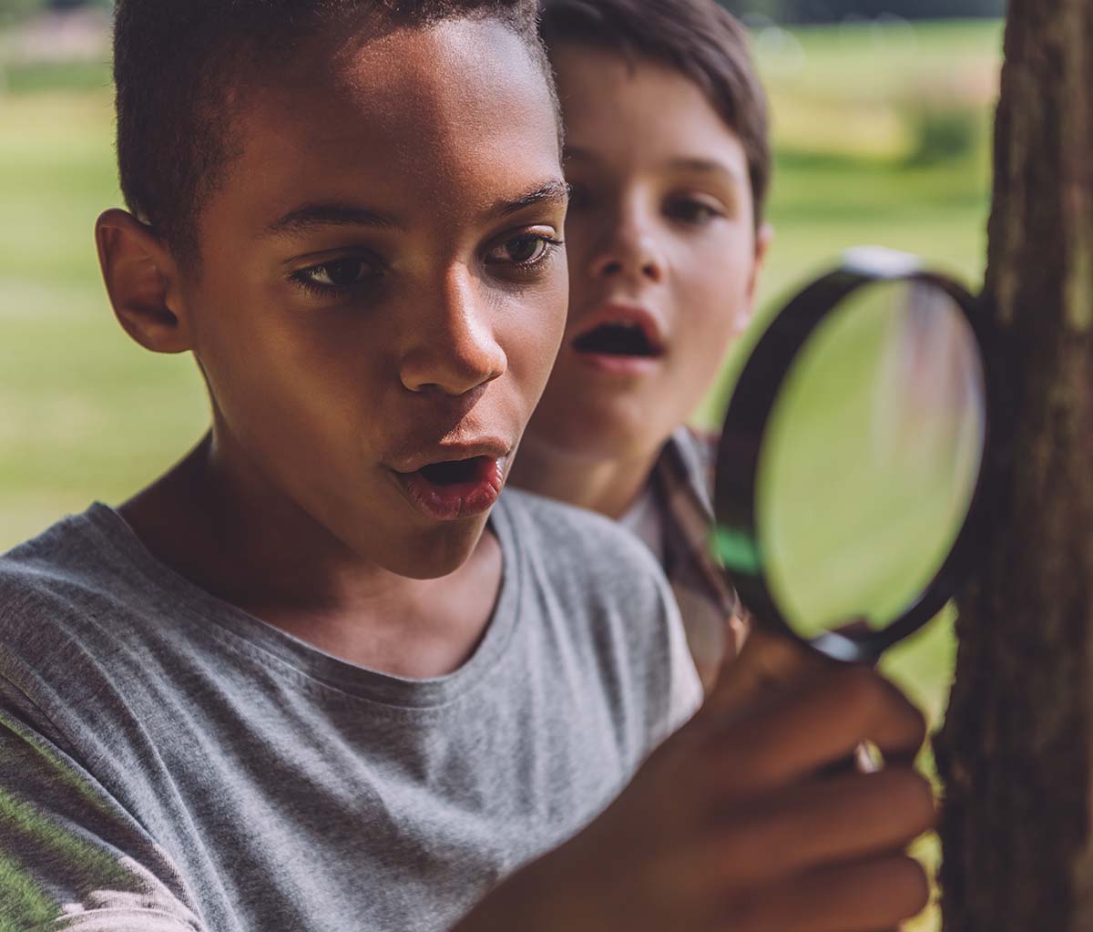 Professional Development Workshops